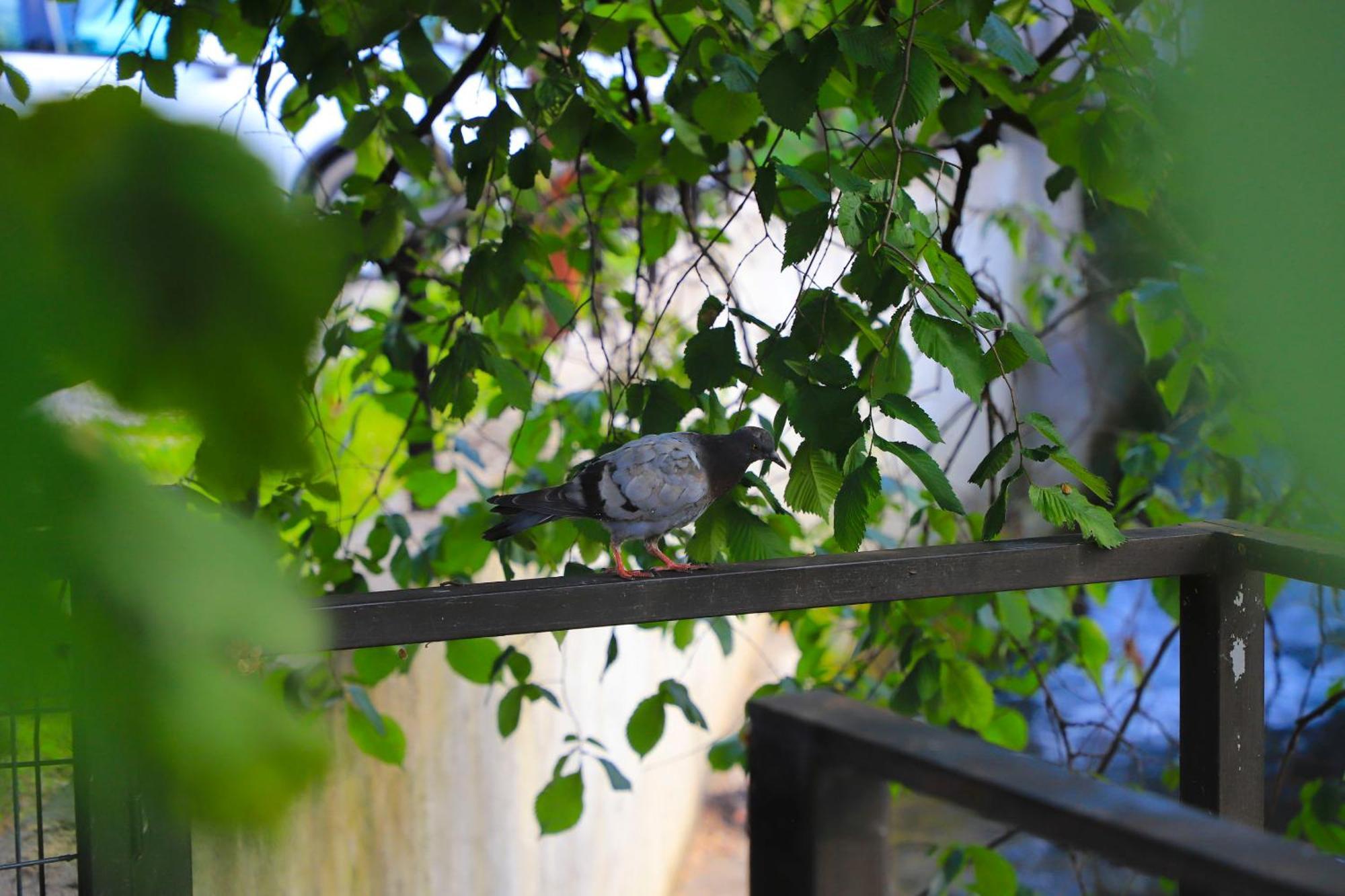 Holiday Homes Pozitiva Bihać 部屋 写真