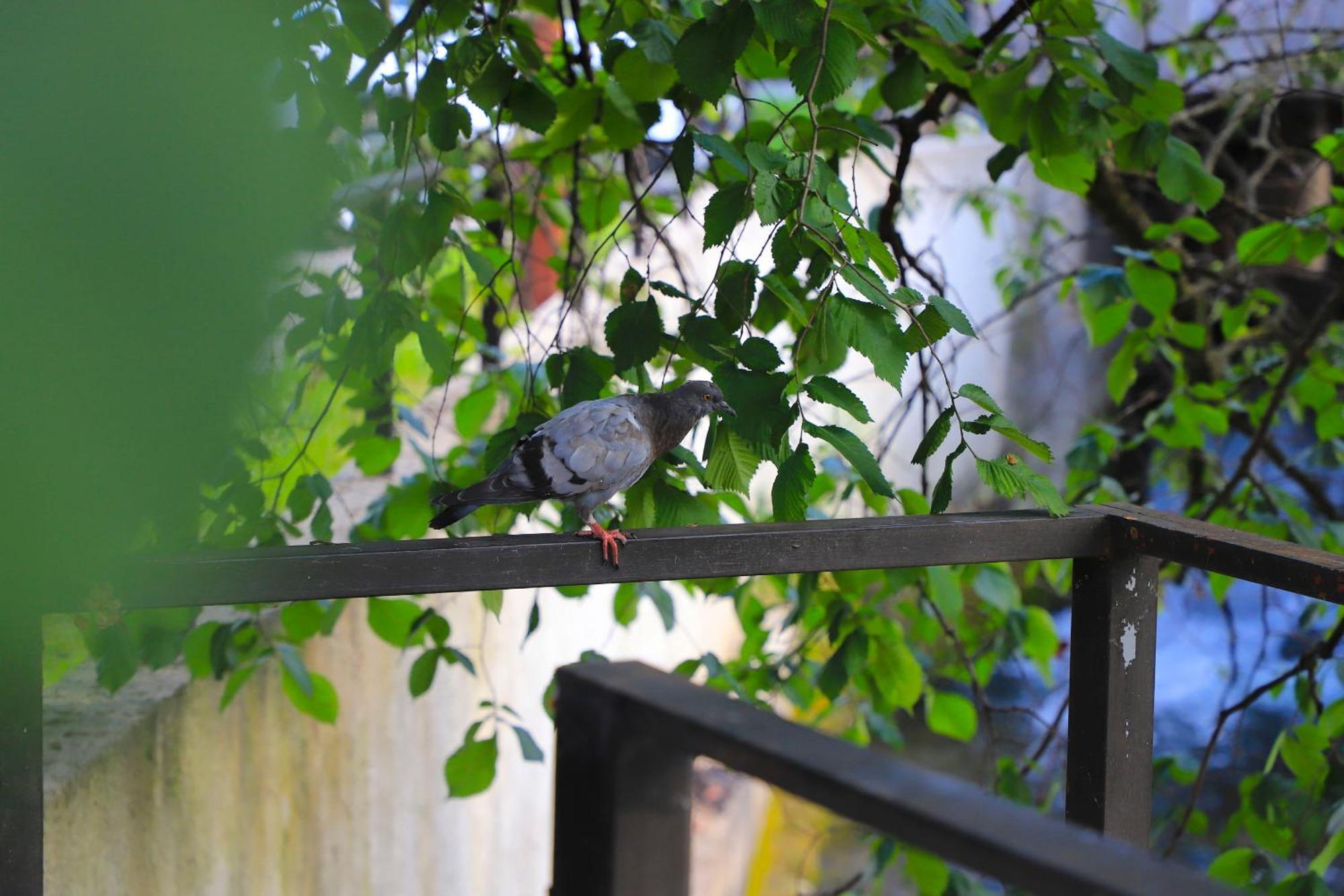 Holiday Homes Pozitiva Bihać 部屋 写真